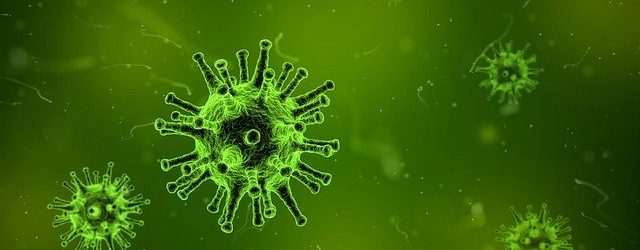 virus-1812092_640